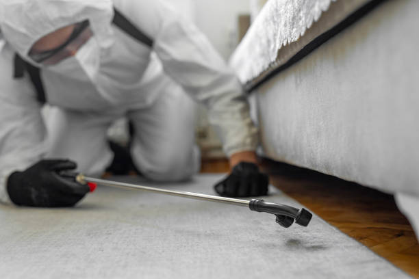 Professional Cockroach Control technician working in Hamilton Square, NJ