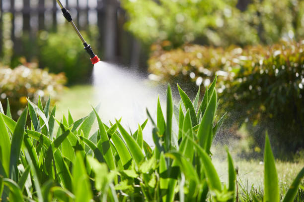 24/7 Emergency Cockroach Control experts in Hamilton Square, NJ