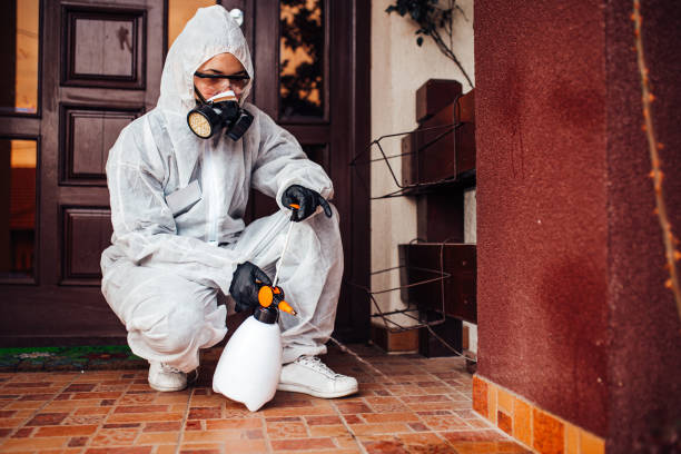 Reliable Cockroach Control contractor in Hamilton Square, NJ by Nex Pest Control