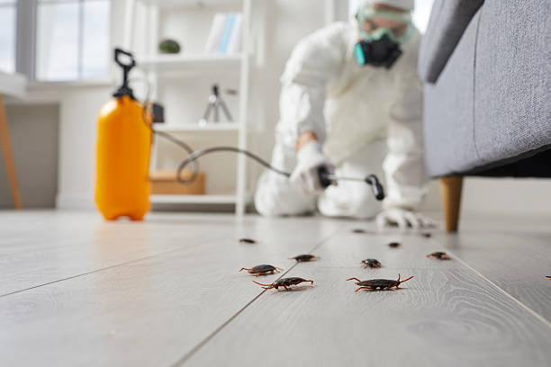 Affordable Cockroach Control solutions in Hamilton Square, NJ